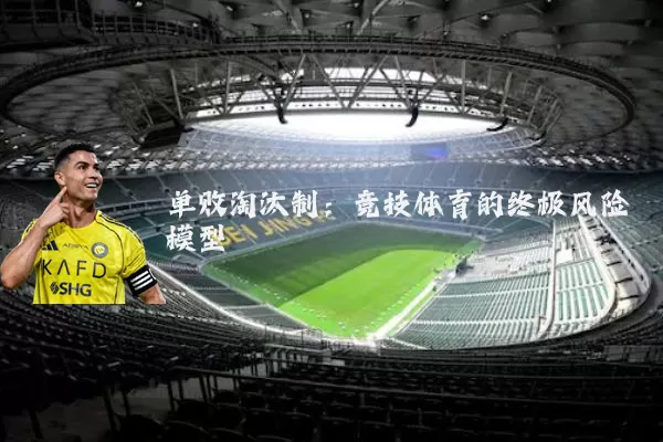 单败淘汰制:竞技体育的终极风险模型